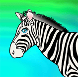 Životinja iz džungle - Zebra