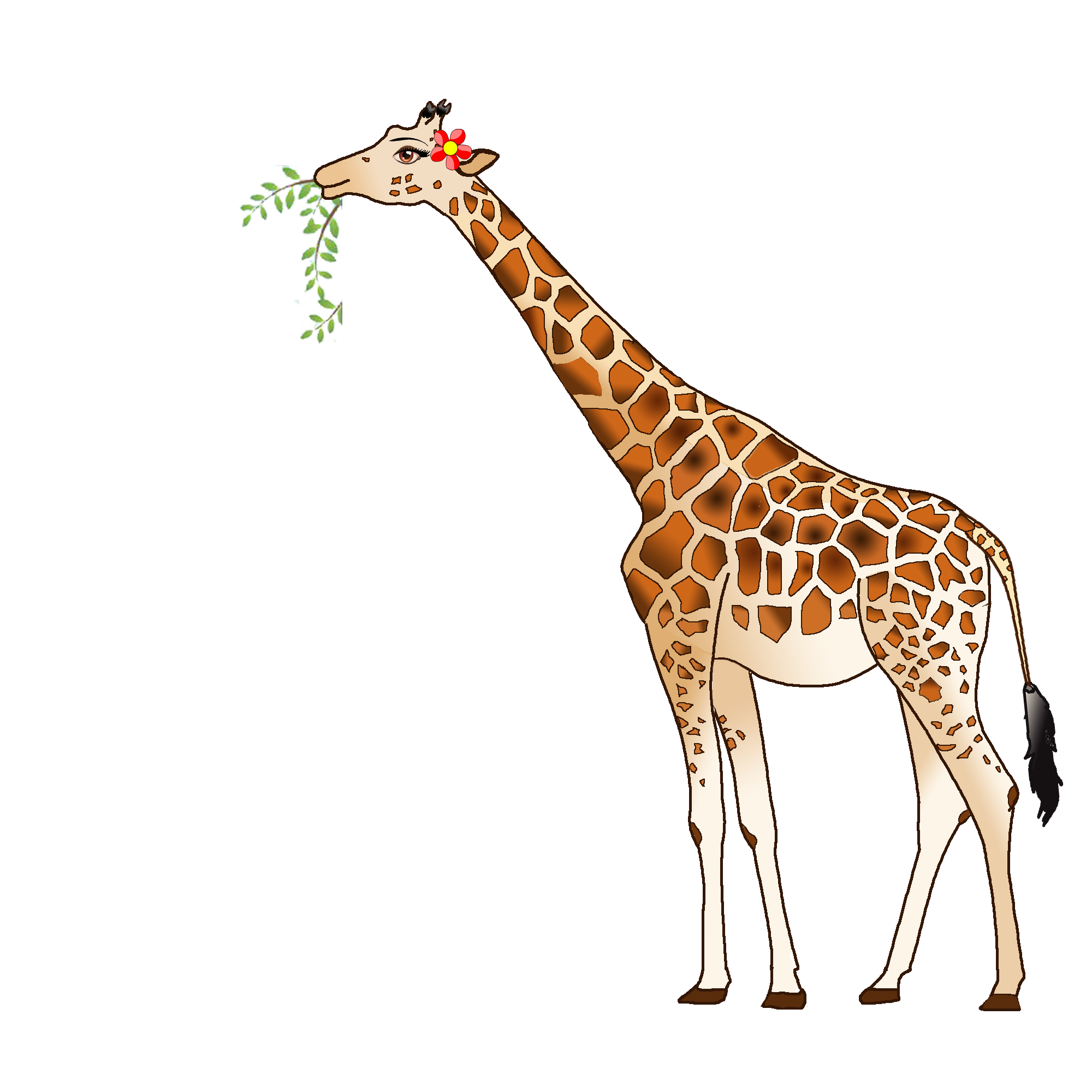 Životinja - Žirafa
